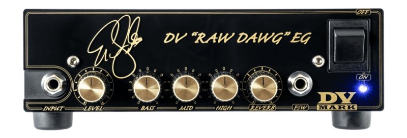 DV Mark - Eric Gales EG RAW DAWG Signature 250W Tube Amp Head