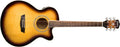 Washburn - Festival EA15 Acoustic/Electric Guitar, Tobacco Burst