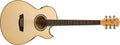 Washburn - Spruce Top Acoustic Cutaway Electric Mini Jumbo Flame Maple Guitar with 4-Band EQ