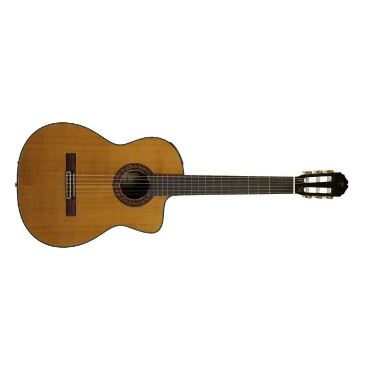 Takamine - Solid Cedar Top Classical Acoustic / Electric Guitar With Case, Gloss Natural