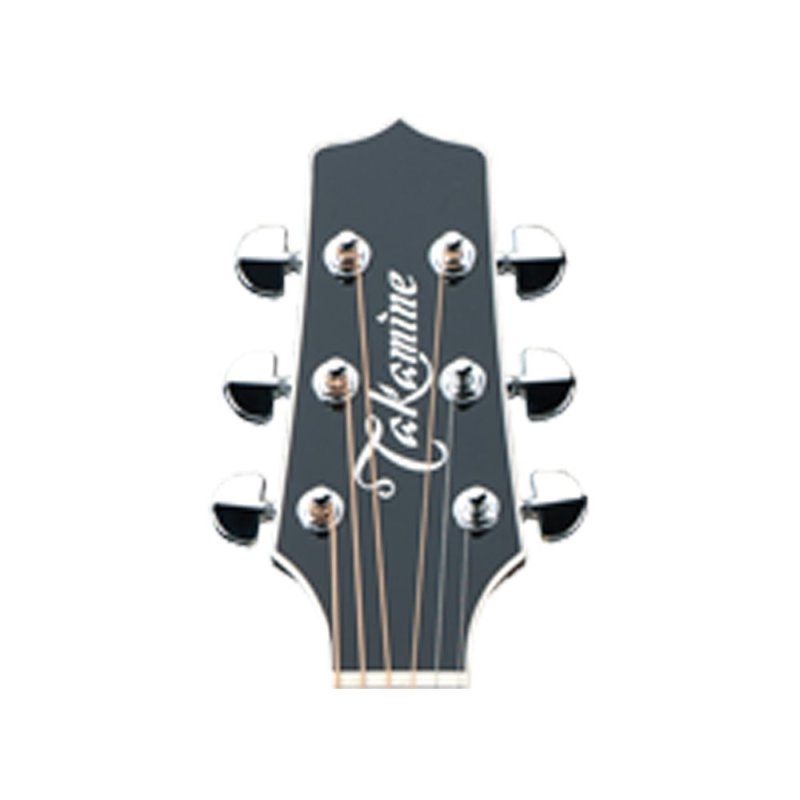 Takamine - Pro Series Dreadnought Acoustic Electric Guitar With Case, Black