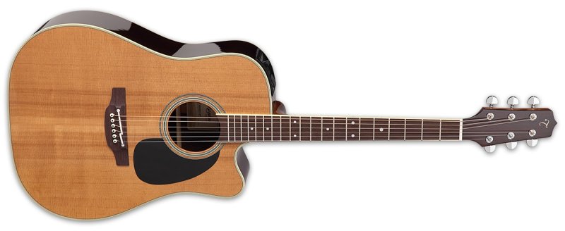 Takamine - Thermal Top Pro Series Acoustic/Electric Guitar