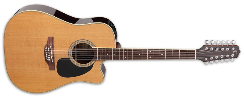 Takamine - Thermal Top 12-String Pro Series Acoustic/Electric Guitar