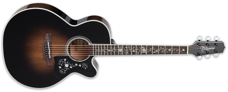 Takamine - Thermal Top Series Acoustic/Electric Guitar