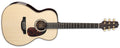 Takamine - Acoustic Electric Guitar