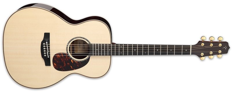 Takamine - Acoustic Electric Guitar