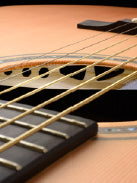 Walden Guitars - Natura 500 - Grand Auditorium body, Solid Sitka Spruce top