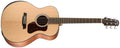 Walden Guitars - Natura 500 - Grand Auditorium body- Ergonomic Armrest - Solid Sitka Spruce top