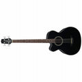 Takamine - 4-String Acoustic-Electric Bass Guitar Left-Handed Acoustic Bass, Black