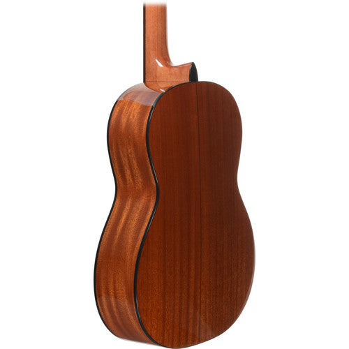 Takamine - NAT Classical Acoustic Guitar, Natural
