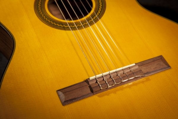 Takamine - Classical Acoustic-Electric Guitar, Natural