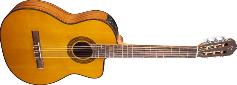 Takamine - Classical Acoustic-Electric Guitar, Natural