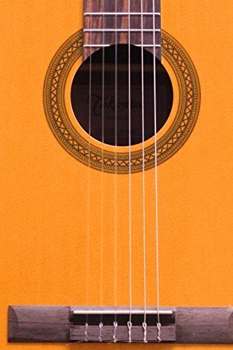 Takamine - Classical Left-Handed Acoustic-Electric Guitar, Natural
