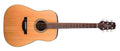 Takamine - Dreadnought Acoustic Guitar, Natural