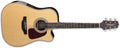 Takamine - G-Series Dreadnought Acoustic/Electric Guitar