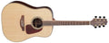 Takamine - Dreadnought Acoustic Guitar, Natural