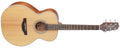 Takamine - Nex Acoustic Guitar, Natural