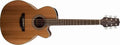 Takamine - NEX Acoustic-Electric Guitar