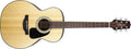 Takamine - Nex Acoustic Guitar, Natural
