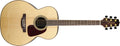 Takamine - NAT Nex Acoustic Guitar, Natural