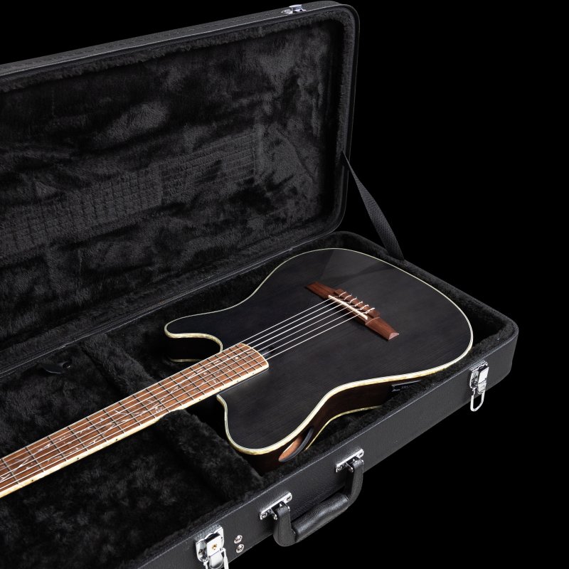 Gator - Ibanez TOD and FRH Guitar Case