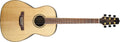 Takamine - New Yorker Parlor Acoustic Guitar, Natural