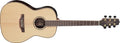 Takamine - New Yorker Acoustic-Electric Guitar, Natural