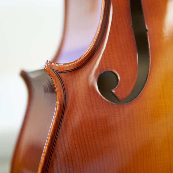 Rhapsody Solid Cello Outfit