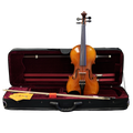 Rhapsody Violin (Fractional) Outfit