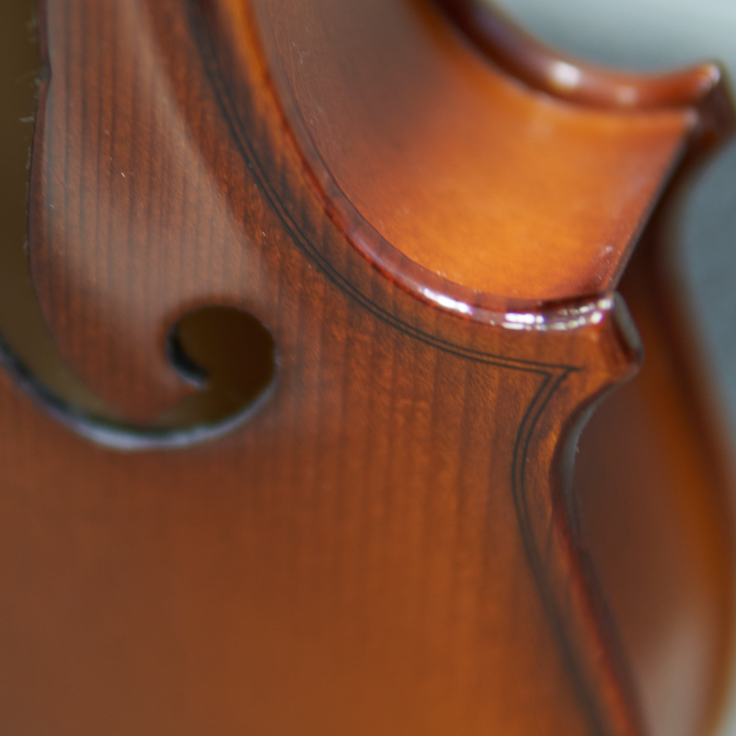Rhapsody Viola Outfit