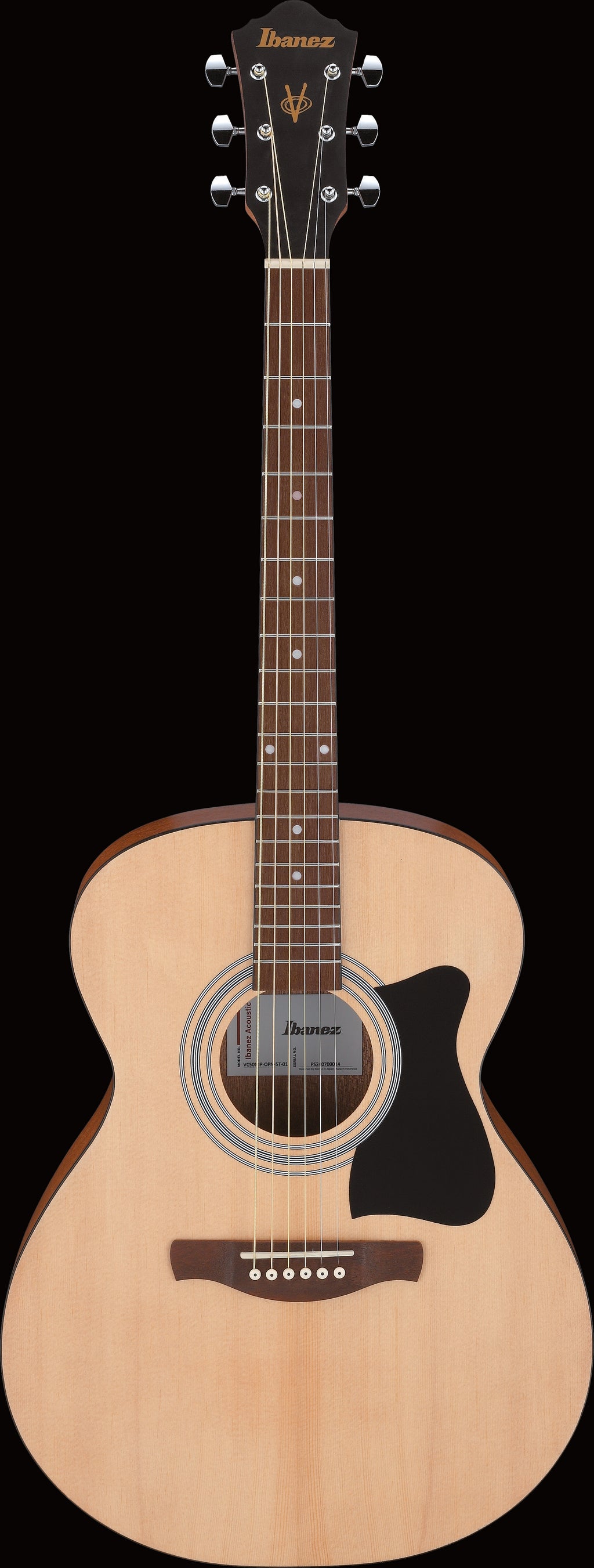 Ibanez - Acoustic Guitar Jampack - IJVC50 - Grand Concert