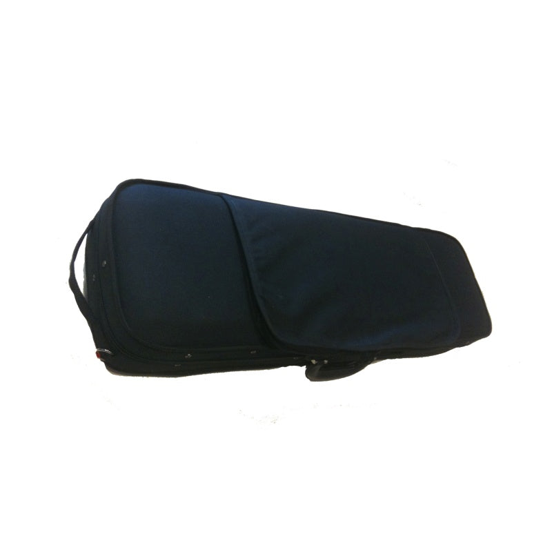 Oblong Foam Violin Case