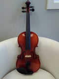 Rhapsody 4/4 Violin Outfit - Imperfect