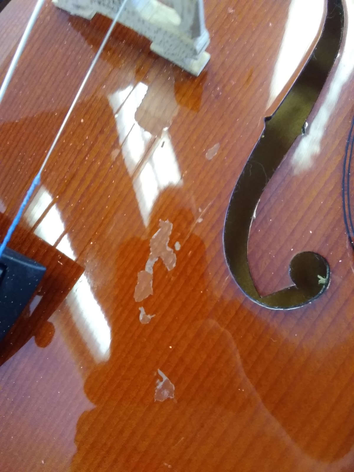 Rhapsody 4/4 Violin Outfit - Imperfect