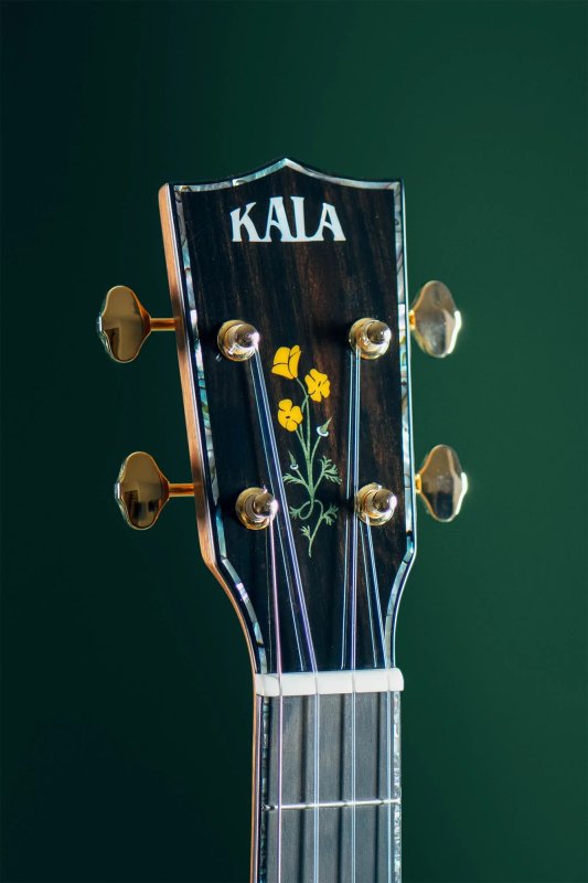 KALA - 20th Anniversary Solid Koa Top Concert Ukulele