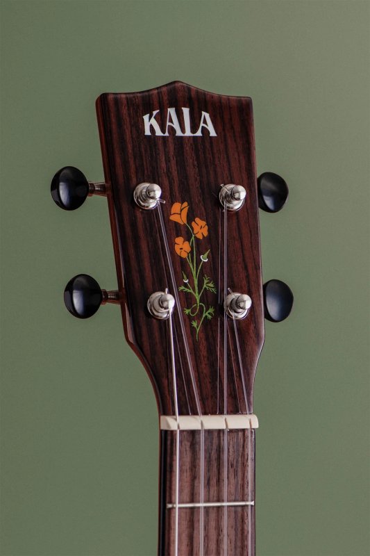 KALA - 20th Anniversary Solid Spruce Top Quilted Sapele Tenor Ukulele with Bag