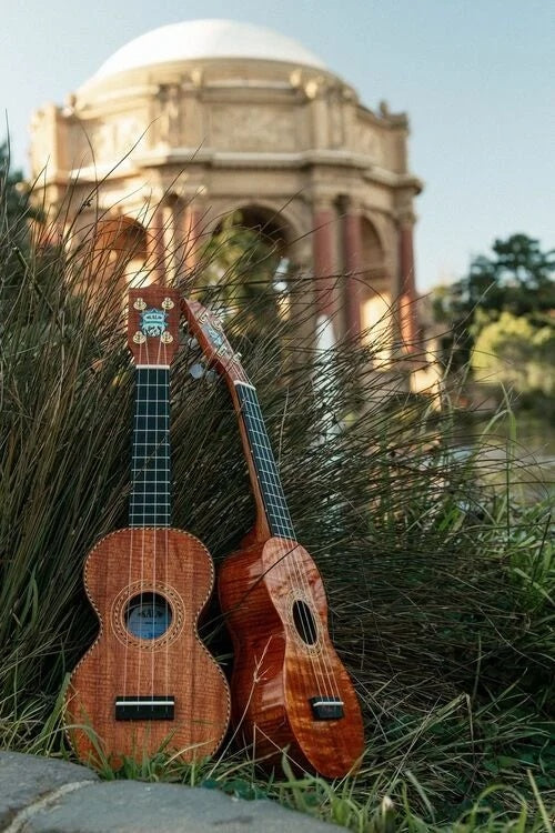 KALA - All Solid Hawaiian Koa Figure 8 Soprano Ukulele w/bag