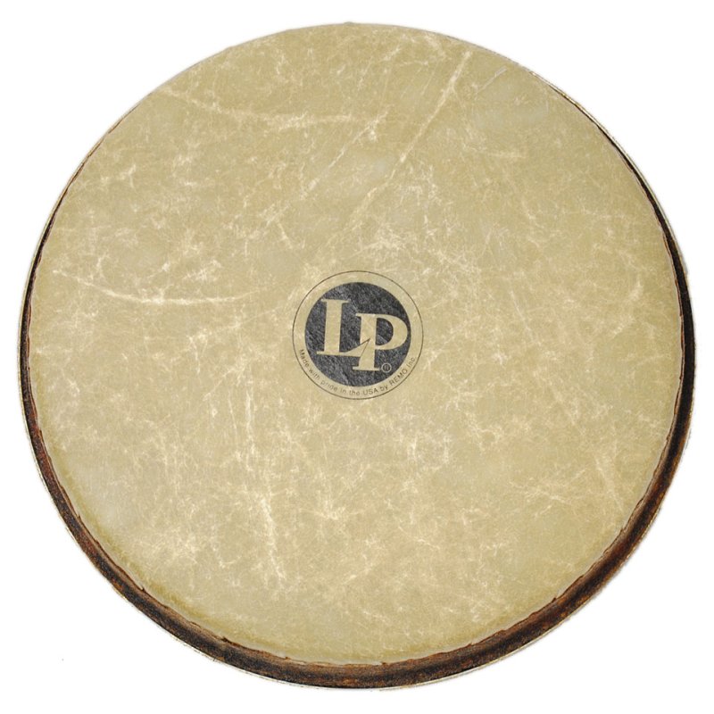 Latin Percussion - 8-1/2-Inch Fiberskyn Synthetic Bongo Head