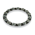 Latin Percussion - 14-inch Tambo-ring - Black Sand With Galvanized Steel Jingles
