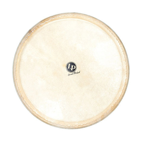 Latin Percussion - 14" Replacement Head For Galaxy Djembe