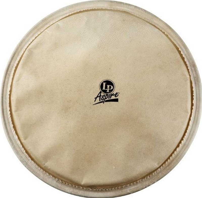 Latin Percussion - 12.5" Aspire Djembe Head