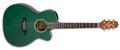 Takamine - Limited Edition 6 String Acoustic Electric Guitar with Semi-Hard Gigbag, Green