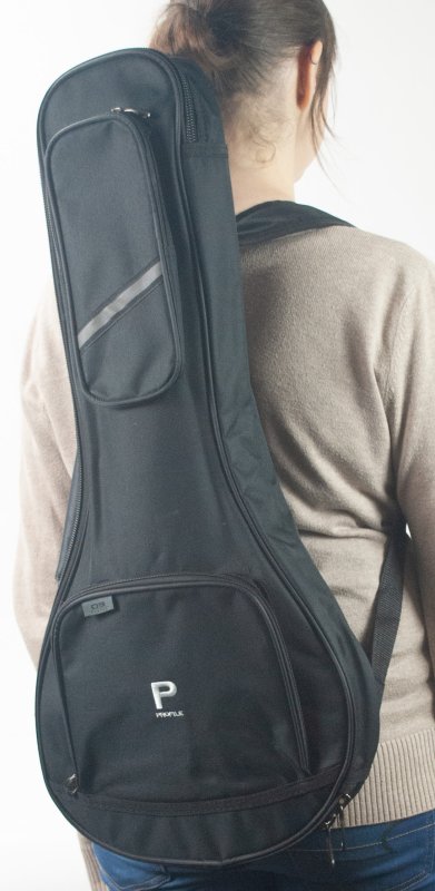 Profile - Mandolin Bag for Beginners