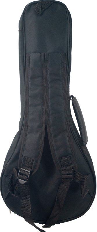 Profile - Mandolin Bag for Beginners