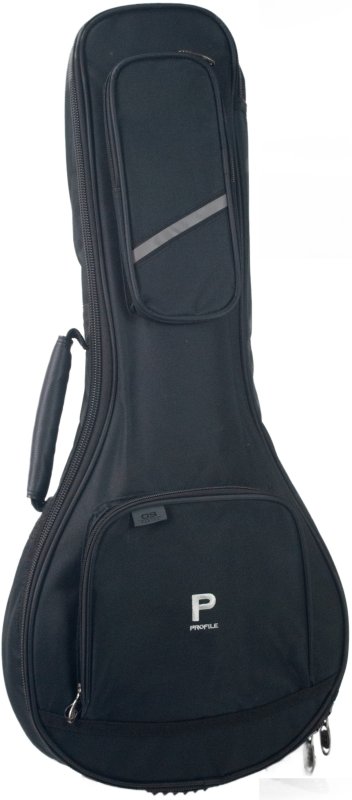 Profile - Mandolin Bag for Beginners