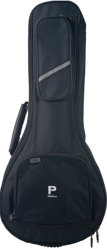 Profile - Mandolin Bag for Beginners