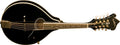 Washburn - A-Style Mandolin - Black