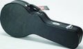 Profile - Mandolin Case