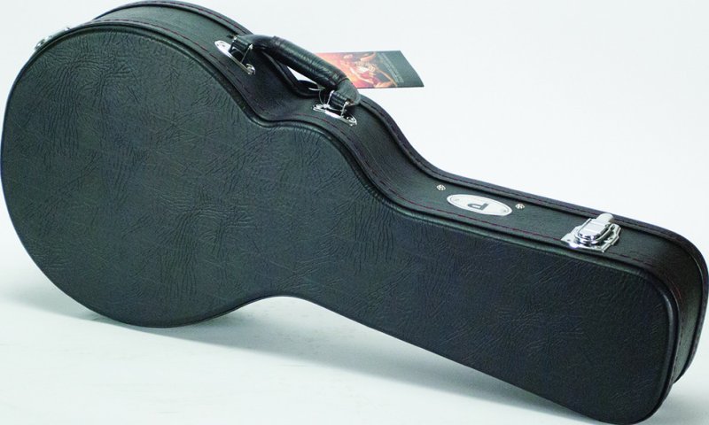 Profile - Mandolin Case