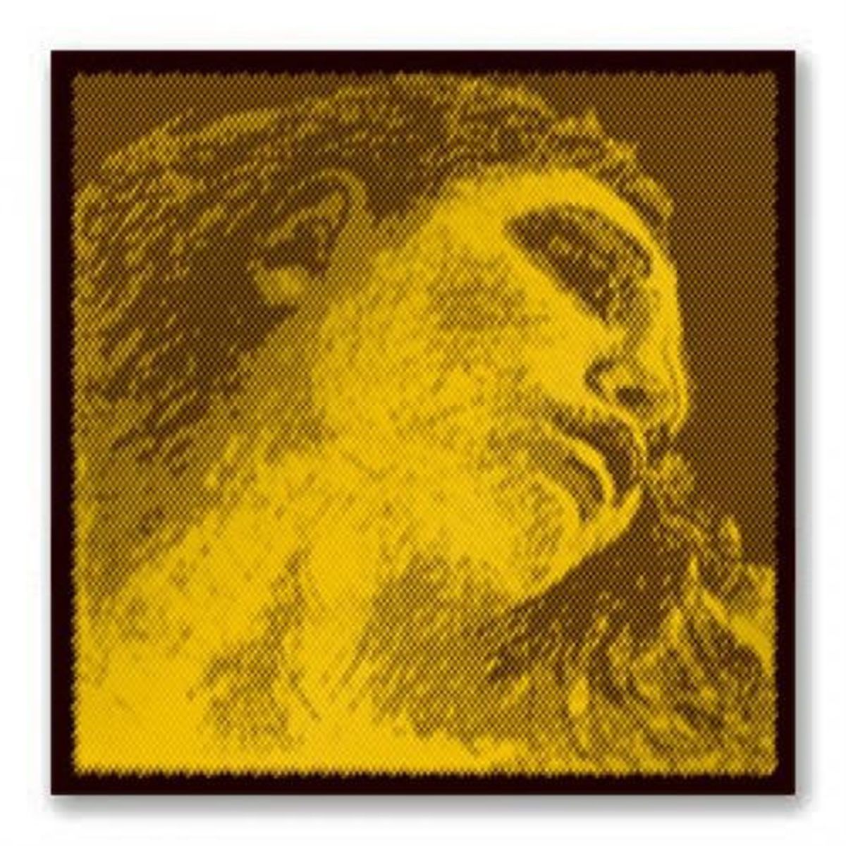 Evah Pirazzi Gold Violin String Set